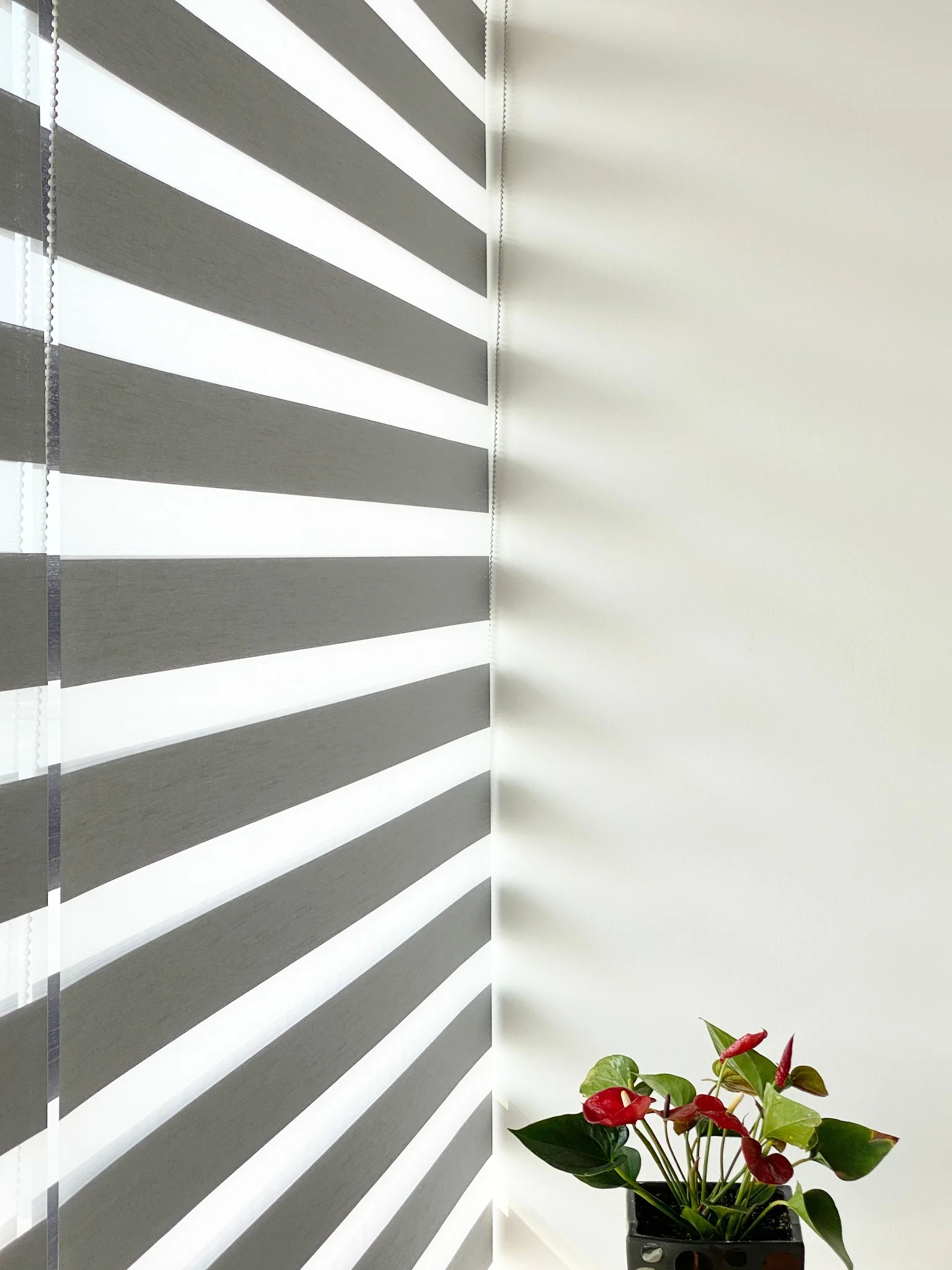 Side profile of custom Zebra Shades